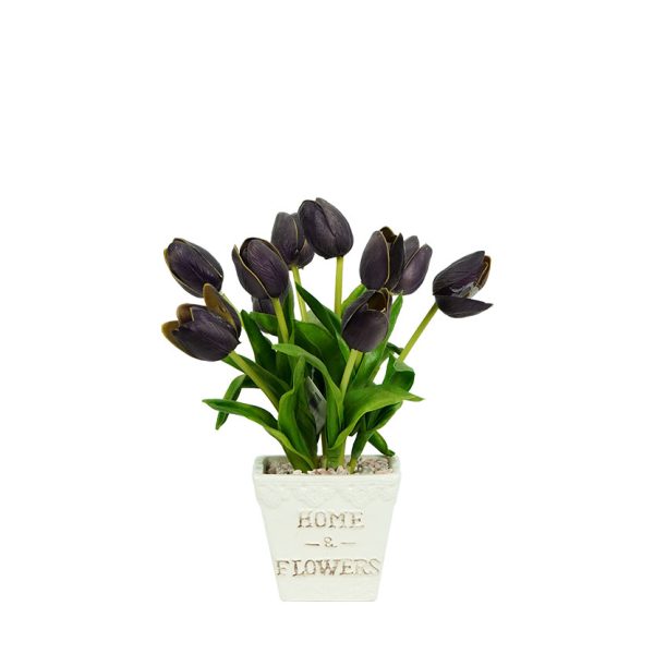 Chậu Sứ Lớn Hoa Tulip